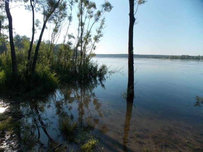 Вода опять пришла