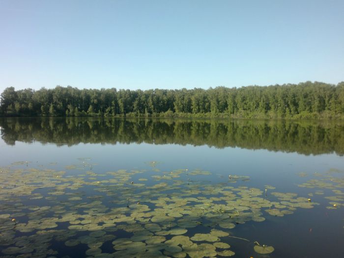 оз. Чёрное