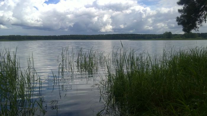 Место лова