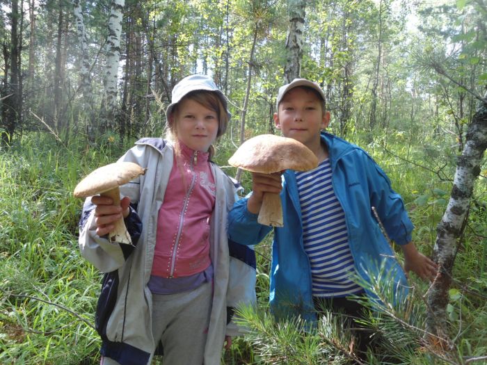 Под Белояркой ловятся лещи, водятся грибы....    2