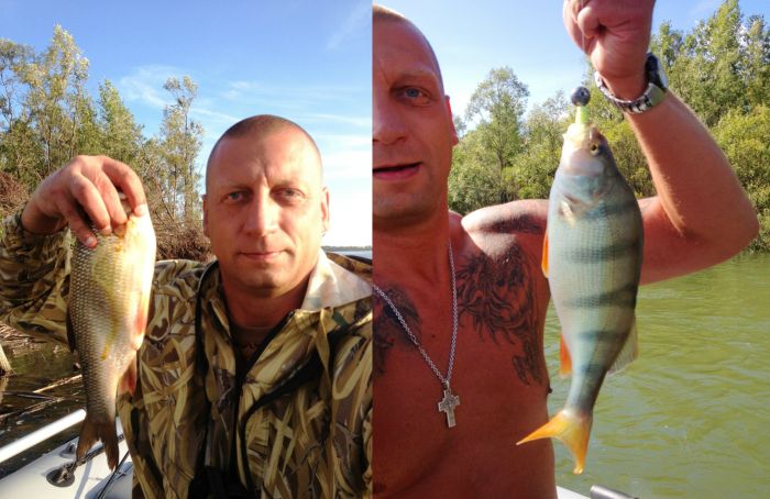 р.Обь. . 26.08.2013