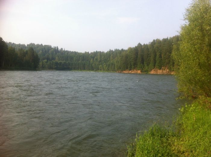 р.Бия(воды жуть)