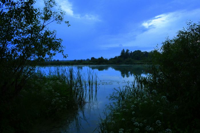 Линёво оз.