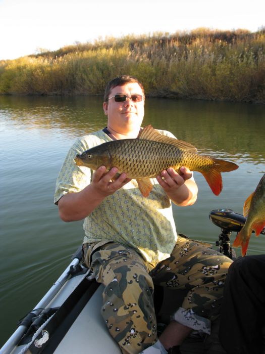 Сазан