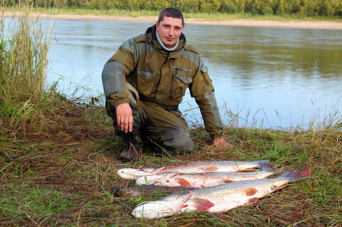 Утренний улов на жерлицы