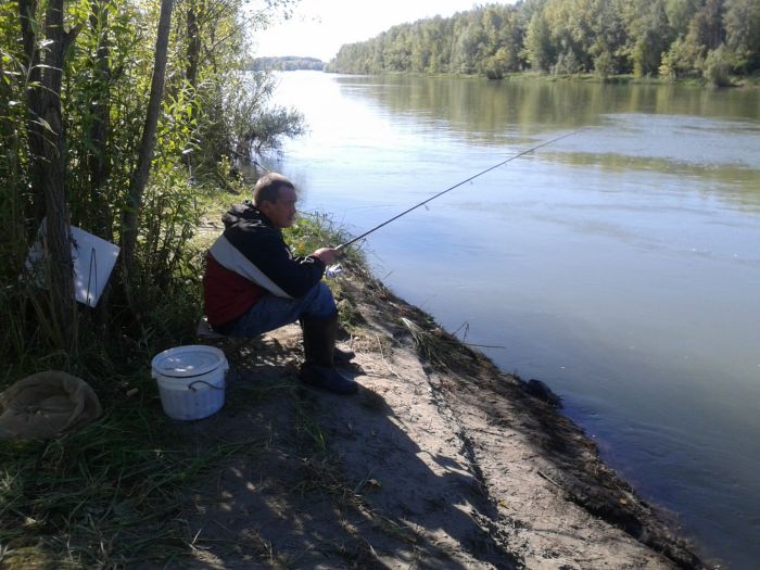Клюет