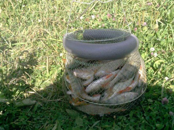 для Самарца