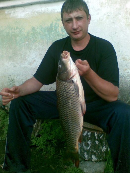 созанчик