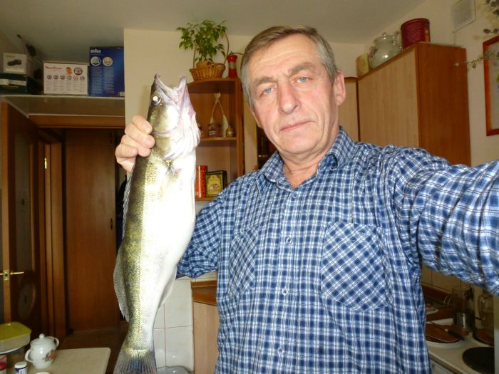 Огурцово,вечер.