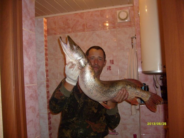 8кг