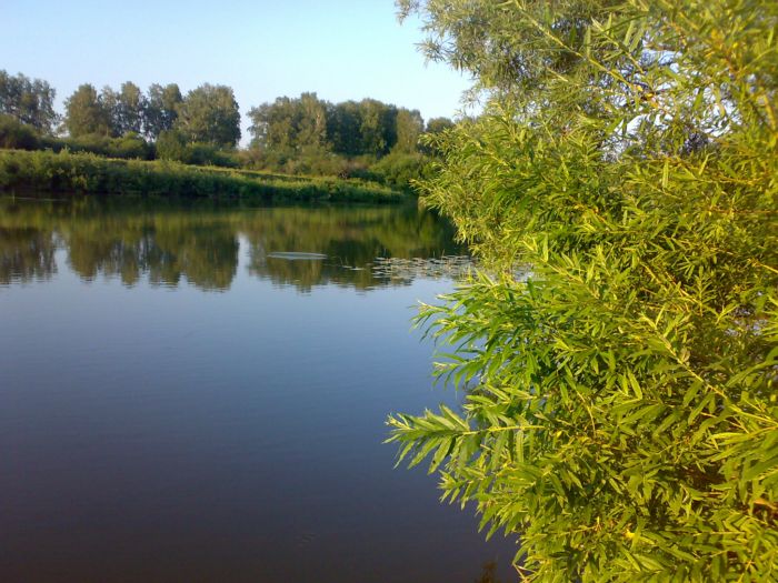 Иня