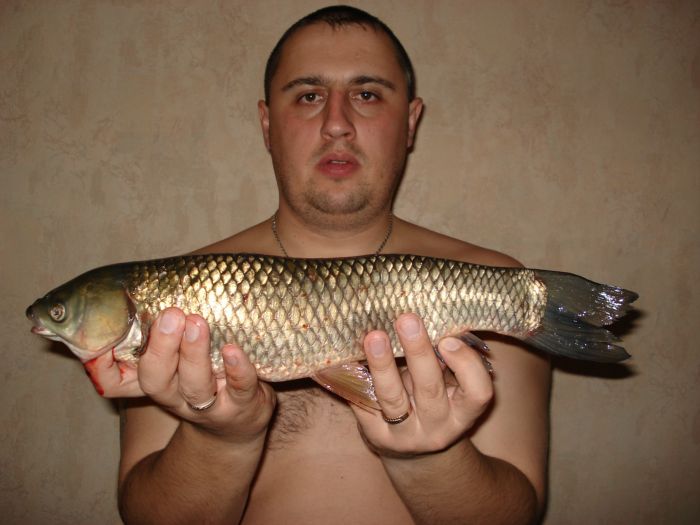 Амурчик