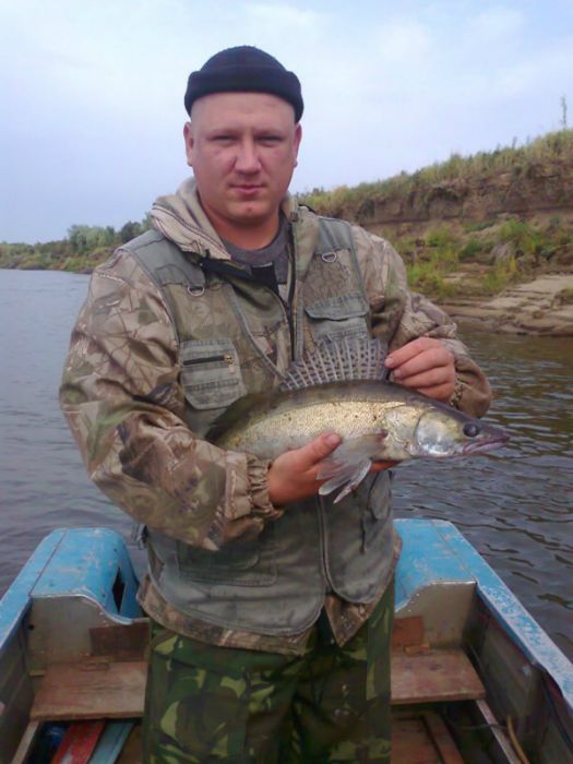 р. Чулым, порадовал судачек