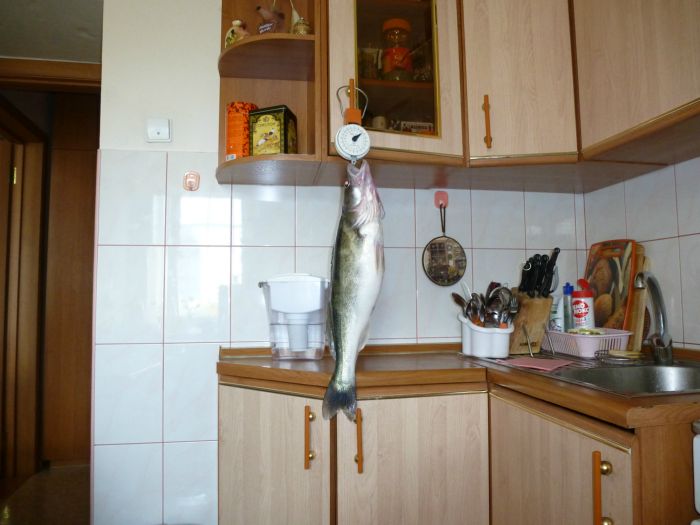 Огурцово,вечер.