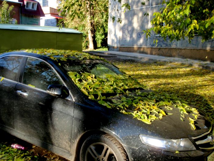 Это - не забытый автомобиль.