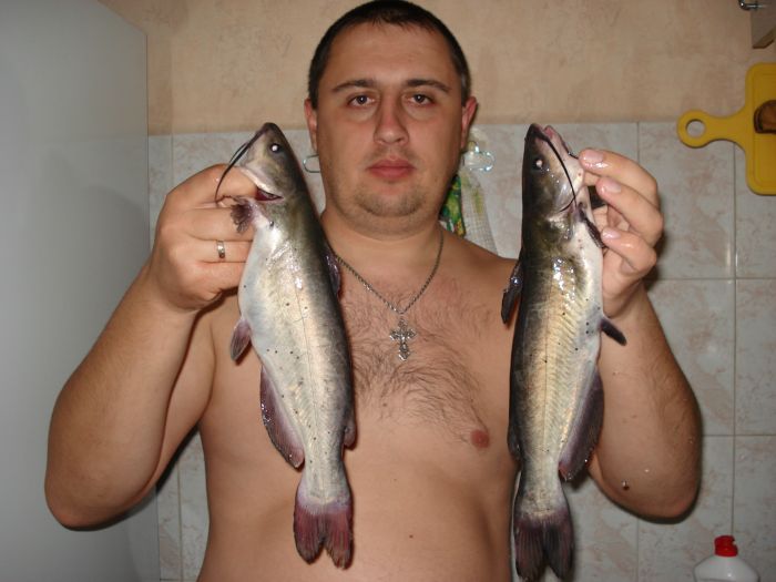 Сомики