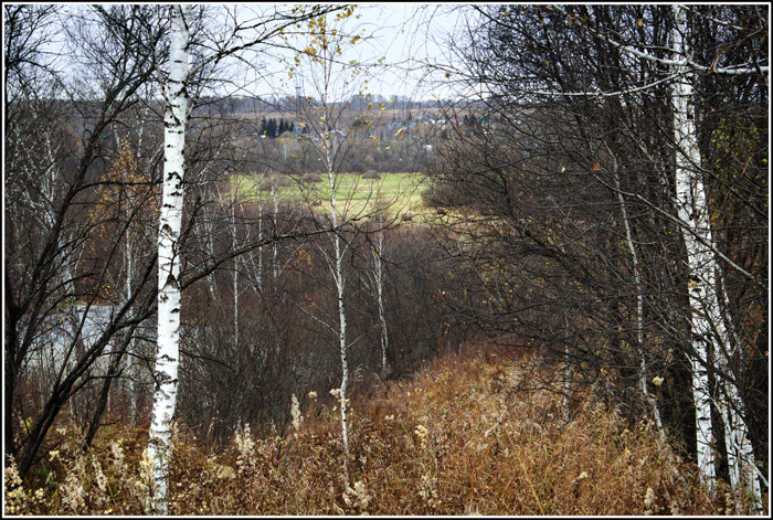 Предзимье.
