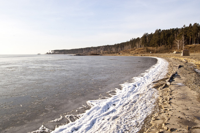 Лед на обском море 26.11.2013, пляж Академгородка