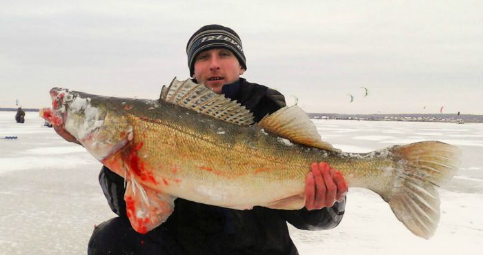 Водятся ещё в Бердских Заливах Чудища Морские!