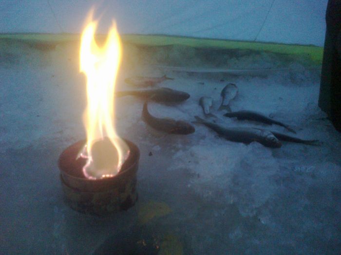 Вечерняя ловля сороги