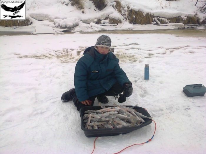 Начинающий рыбачок...