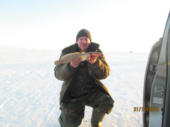 31.12.2013 на 31 км. ОВХ