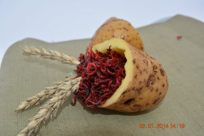 Праздничный стол для окуня  уже накрыт!