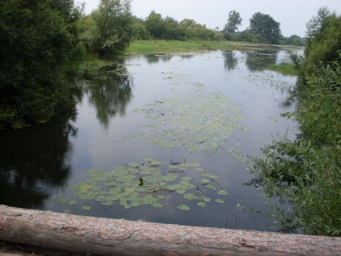Уень.