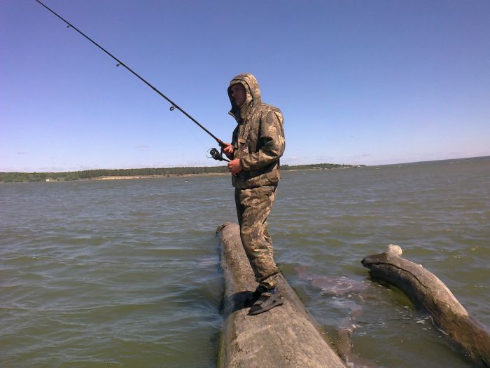 Пока нет парома.