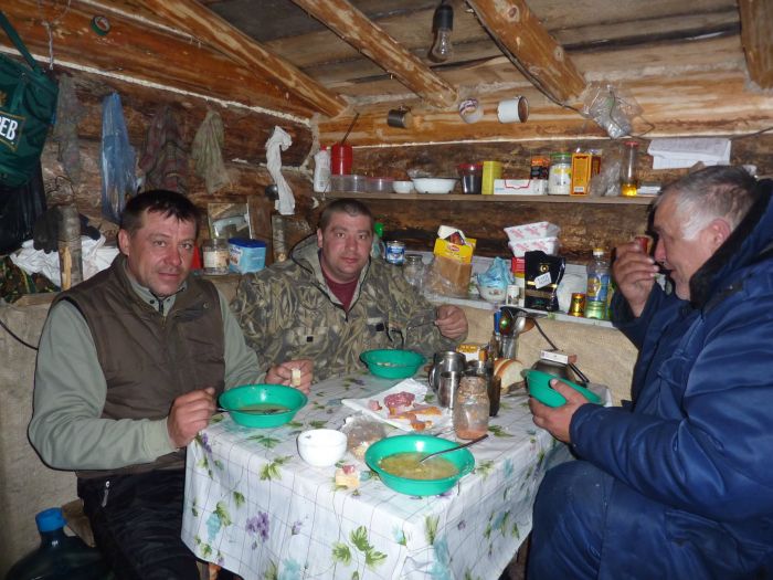 Приютили. Обогрели. ТО Колпашинский р-н.