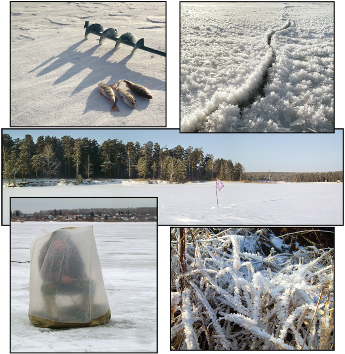 Бердский залив (мозаика)