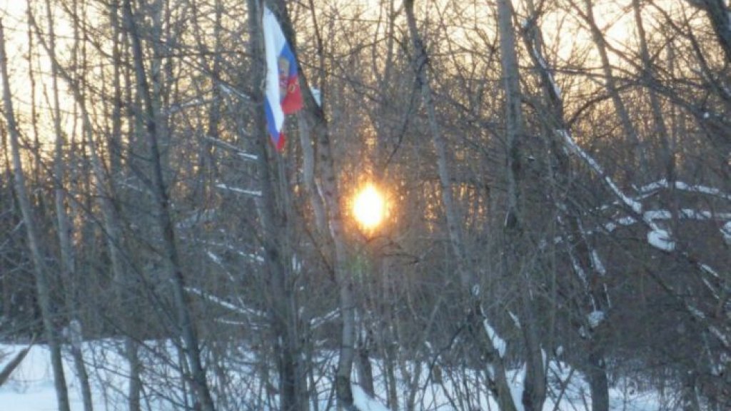 Одиночество во льдах