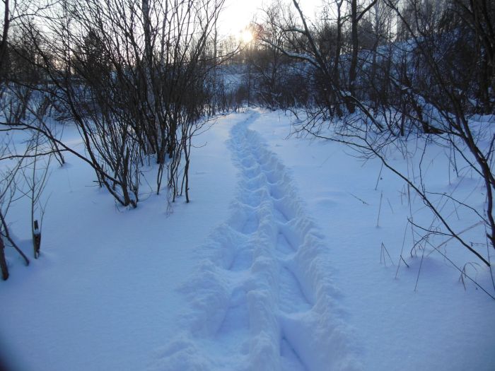 Следы снежного человека
