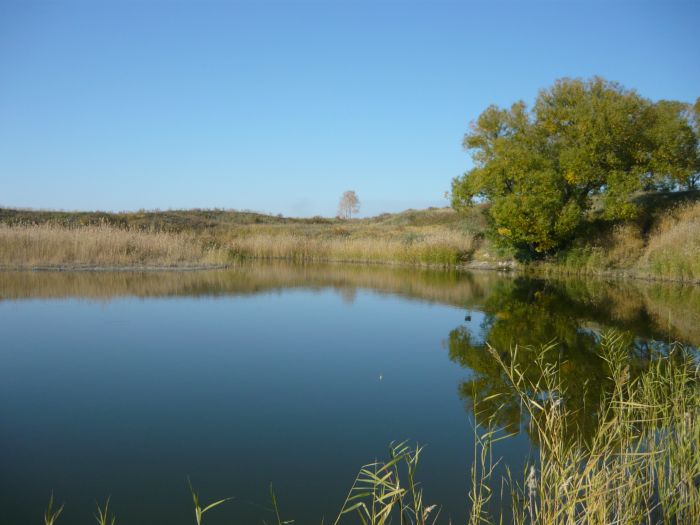 Хорошее,Плотина.