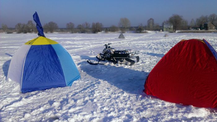 Собачка Dingo T125