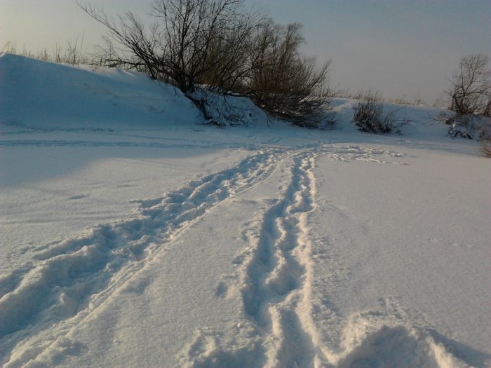 Уень 18.01.2014