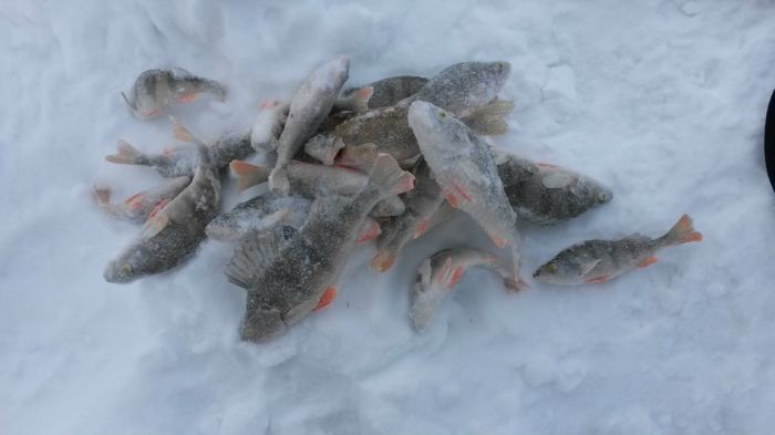 52 км.