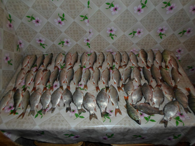 стол маленький