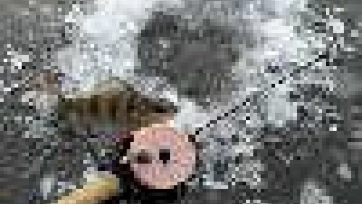 8 февраля 2014 года пройдут Открытые соревнования НСО по ловле на мормышку