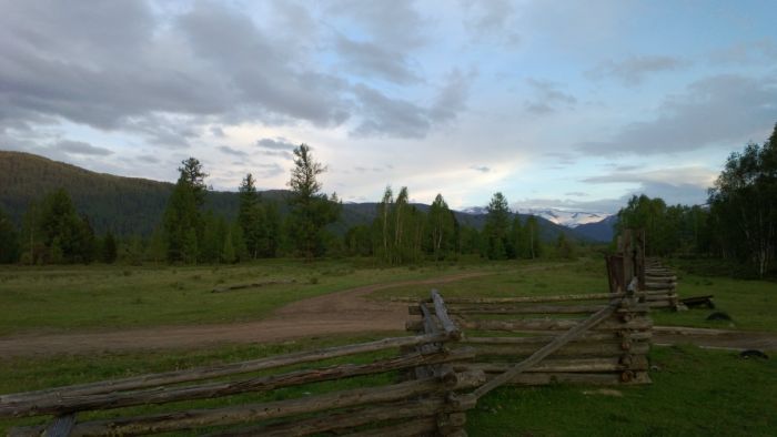 Белки.