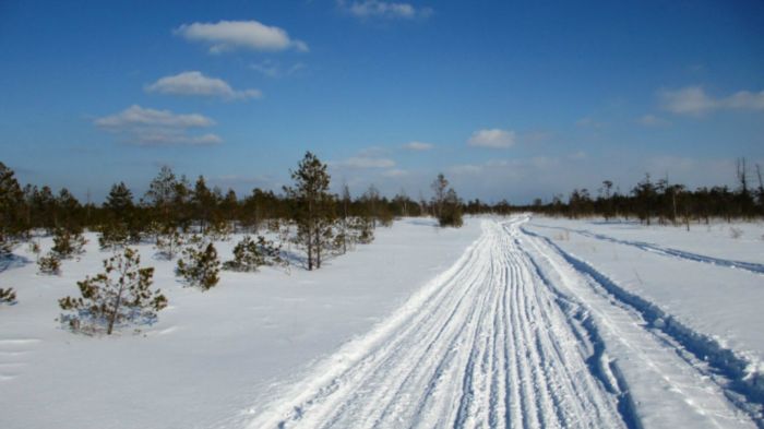 Красота по-сибирски!