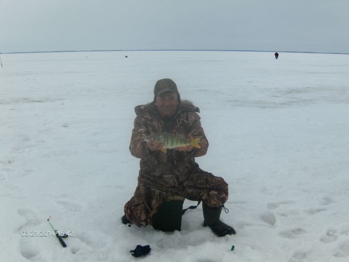 Окушок