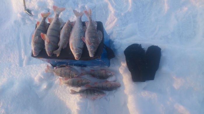 ОВХ 04.03.14.