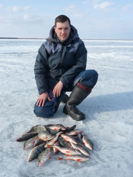 насоска 290314