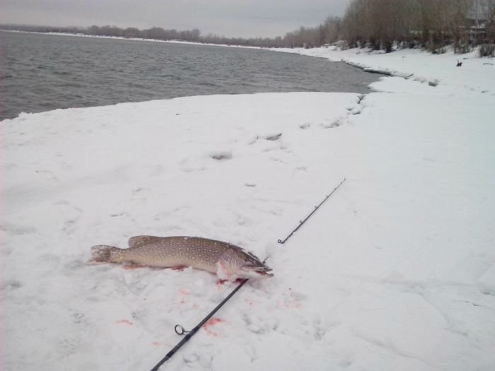 Матвеевка.26.03.2014.Щука-3 кг