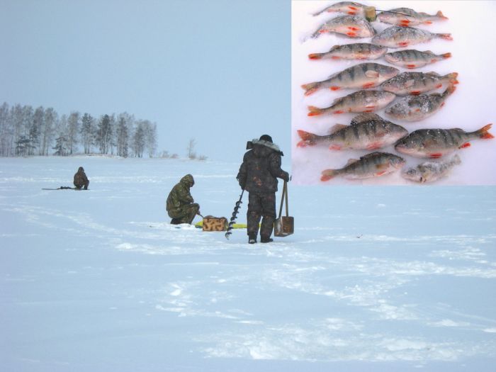 ОВХ.