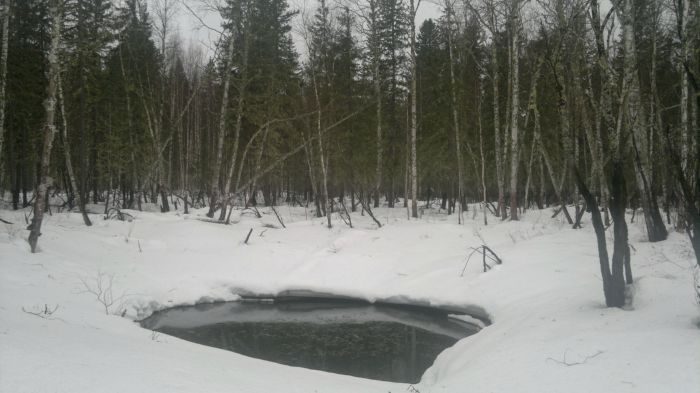 Незамерзающий