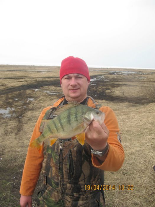 самый крупный с последней вылазки (на конкурс)