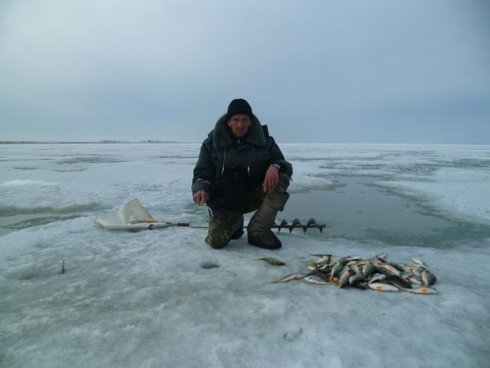 Чаны 2014