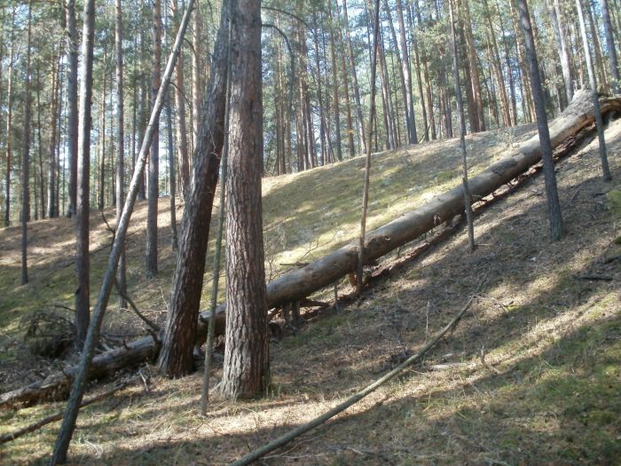 Каракан...